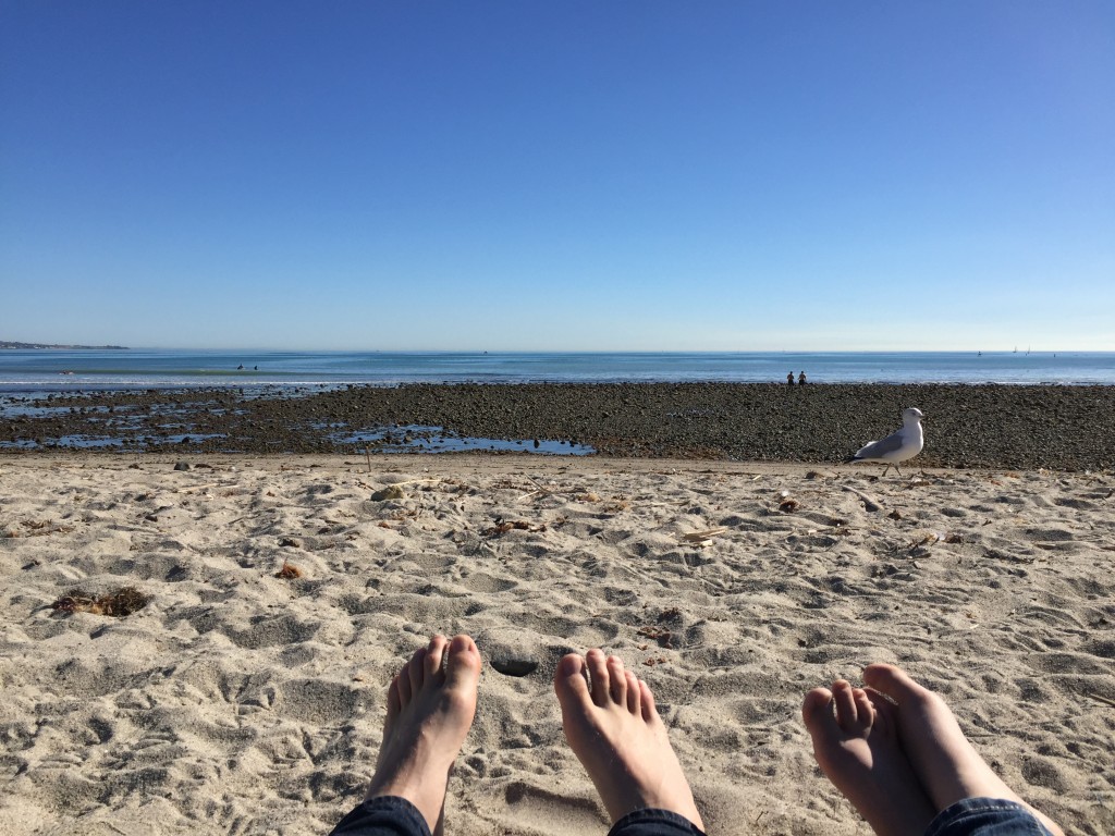 lunch at the beach