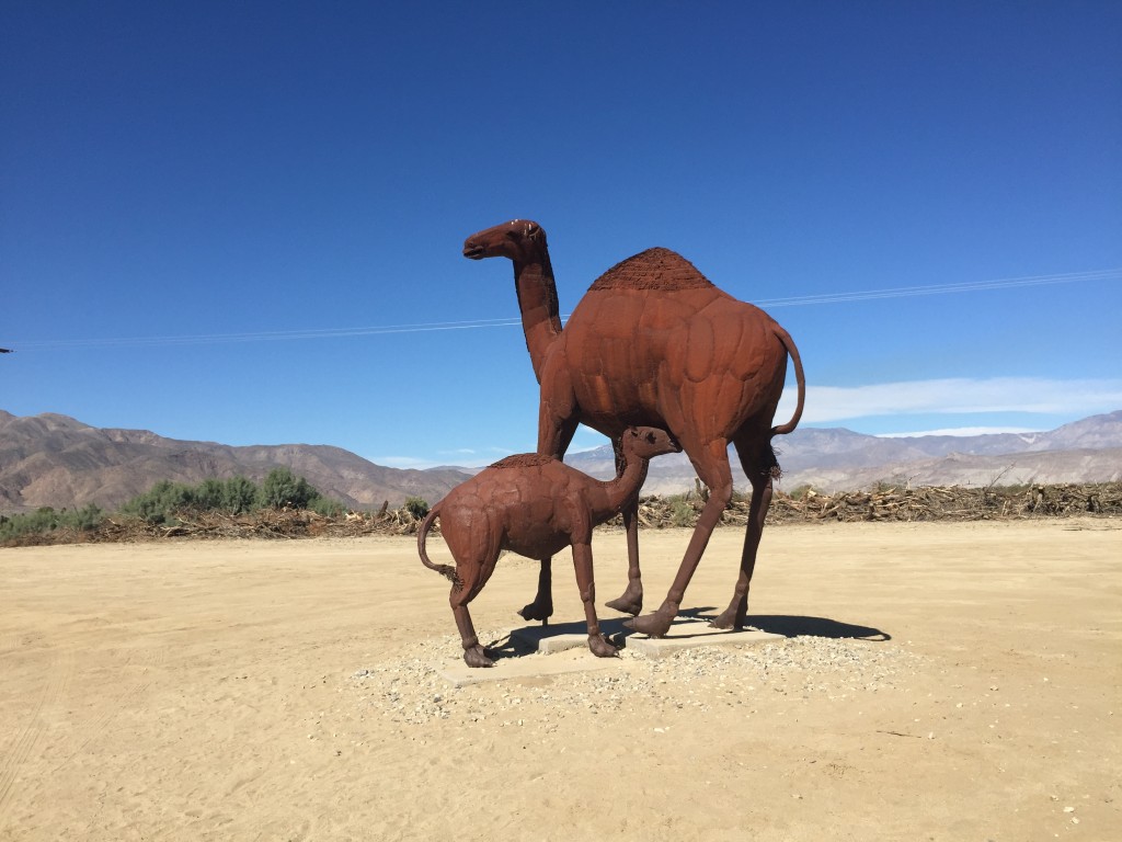 Giant Camels
