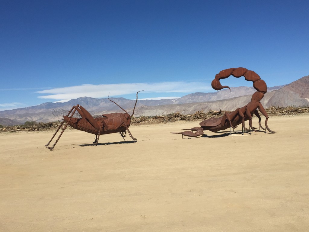 scorpion vs cricket