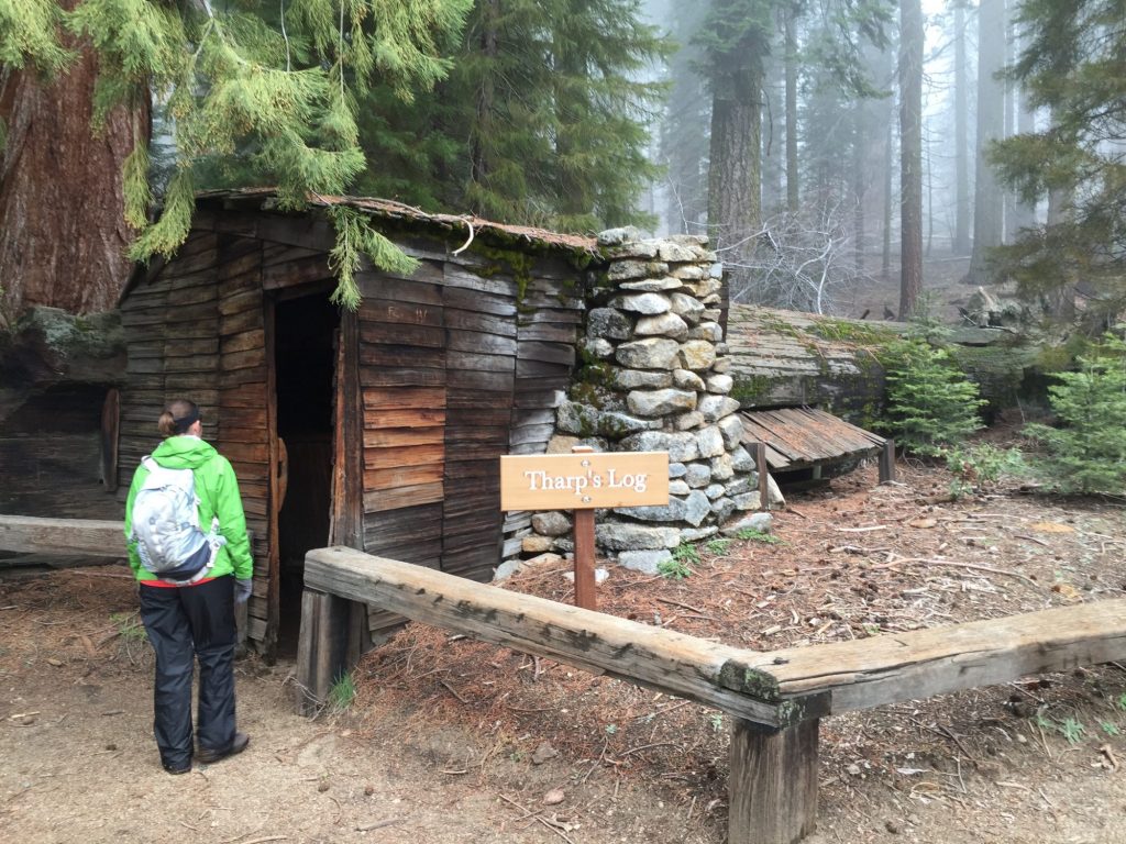 A true Log Cabin