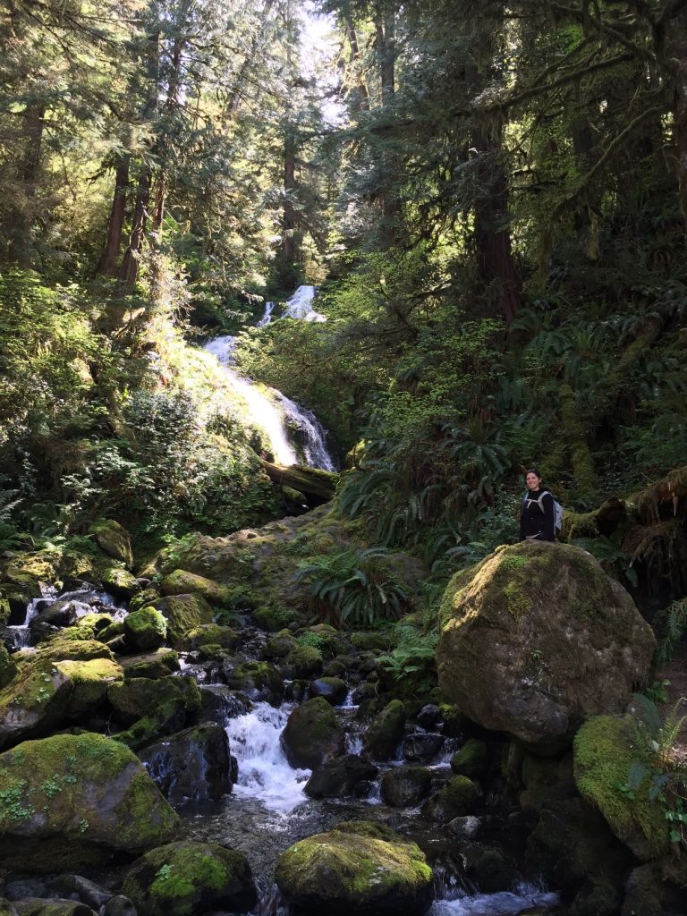 picnic next to waterfall