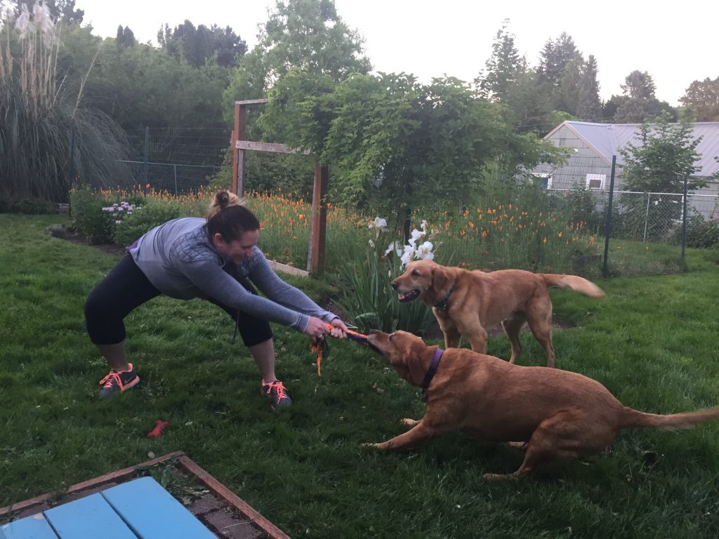 playing tug of war with the puppers